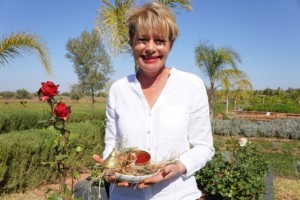 Blog Marrakesch Christine Ferrari