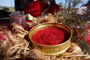 Blog Marrakesch Paradis du Safran