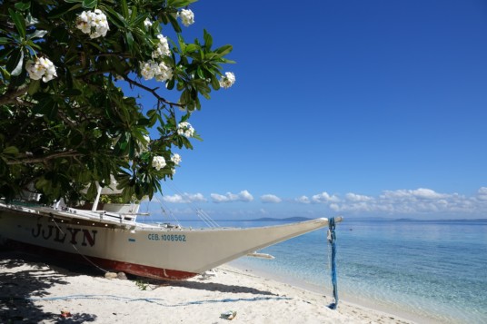 Blog Philippinen Pamilacan