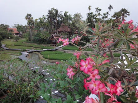 Nordthailand_865_01