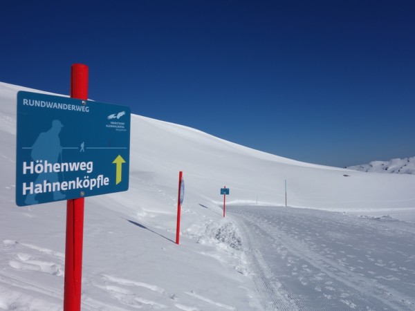 vlife.blog VLife Blog Winterwanderweg am Ifen.