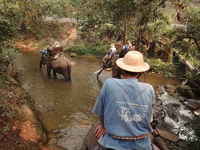thailand elefanten