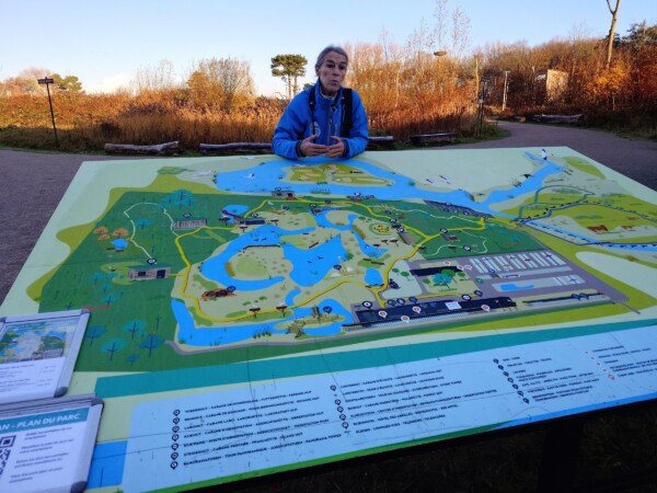 © VLife Blog vlife.blog Belgien Tipp Geführte Besichtigung mit Guide durch den Zwin Naturpark.