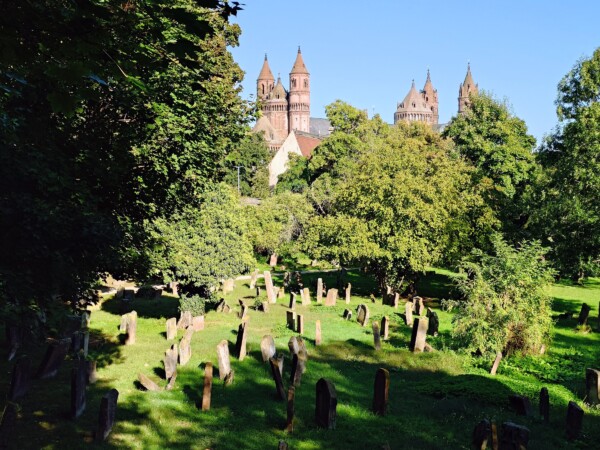 © VLife Blog vlife.blog Blick über den ältesten jüdischen Friedhof Europas auf den Dom in Worms