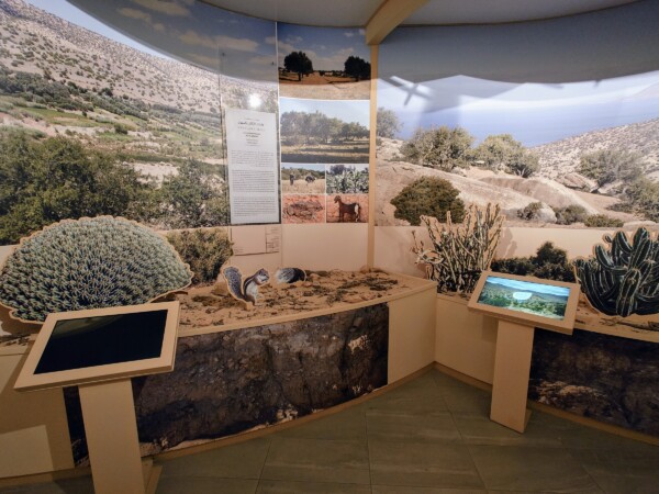 © VLife Blog vlife.blog Das Targant-Zentrum beherbergt das erste Arganöl-Museum der Welt.