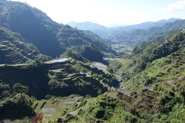 © VLife Blog vlife.blog – Die Reisterrassen von Banaue werden auch als Achtes Weltwunder bezeichnet und zählen zum Unesco Weltkulturerbe.