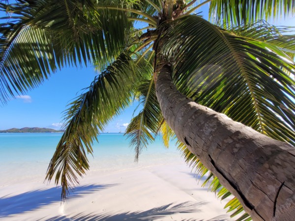 © VLife Blog vlife.blog – Die Strände der Seychellen gehören nicht umsonst zu den schönsten der Welt. Bahamas Martini