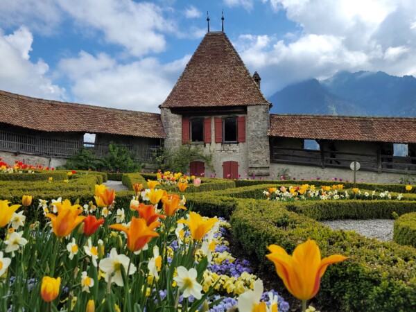 © VLife Blog vlife.blog Farbenprächtiger Garten im Schloss Greyerz.