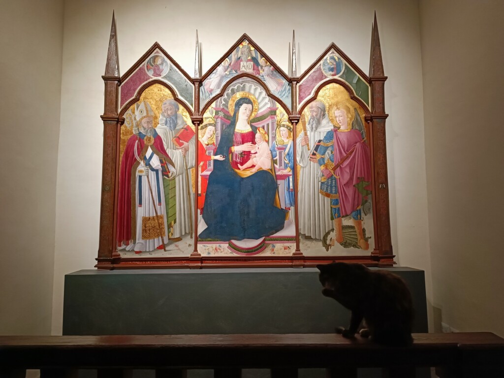© VLife Blog vlife.blog – Katze Michaela im Museum des Geburtshauses von Michelangelo.