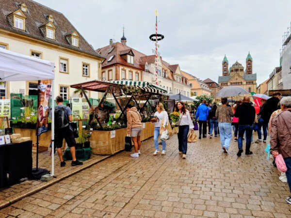 © VLife Blog vlife.blog Marktstände säumen die Maximilianstrasse in Speyer.
