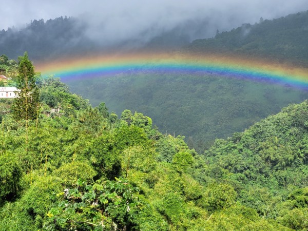 © VLife Blog vlife.blog – Regenbogen auf dem Weg in die Blue Mountains.