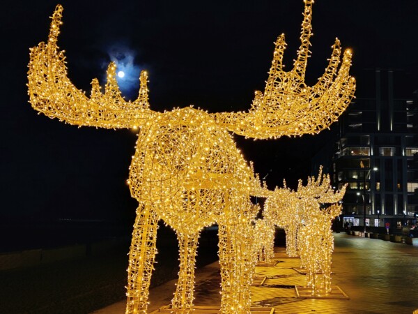 © VLife Blog vlife.blog Zauberhaft beleuchtete Weihnachtsdekoration in Knokke-Heist.